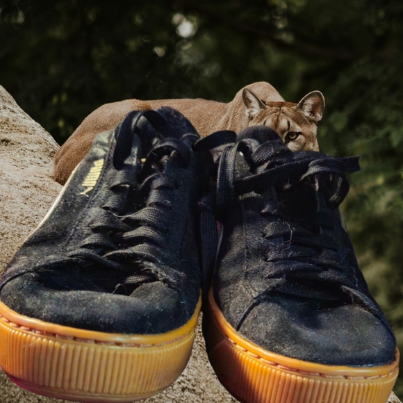 Puma Vikky Platform Sneakers - Picture 3 of 6